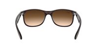 Occhiali da sole Ray-Ban Uomo 0RB4202  55  607313 - 0RB4202  55  607313